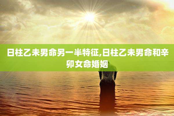 日柱乙未男命另一半特征,日柱乙未男命和辛卯女命婚姻