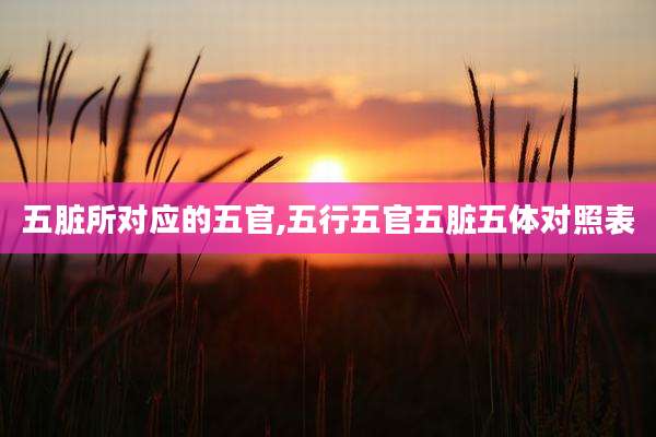 五脏所对应的五官,五行五官五脏五体对照表