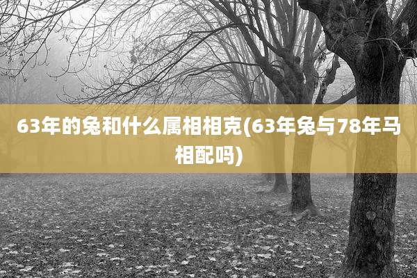 63年的兔和什么属相相克(63年兔与78年马相配吗)