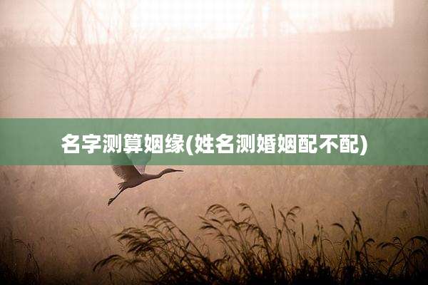 名字测算姻缘(姓名测婚姻配不配)