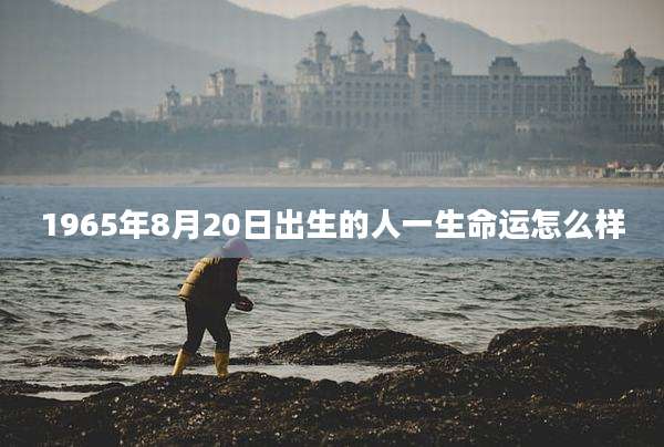1965年8月20日出生的人一生命运怎么样