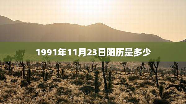 1991年11月23日阳历是多少