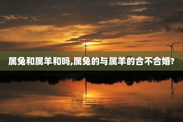 属兔和属羊和吗,属兔的与属羊的合不合婚?