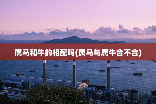 属马和牛的相配吗(属马与属牛合不合)