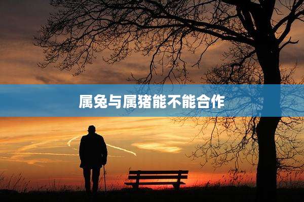 属兔与属猪能不能合作