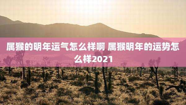 属猴的明年运气怎么样啊 属猴明年的运势怎么样2021