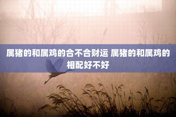 属猪的和属鸡的合不合财运 属猪的和属鸡的相配好不好