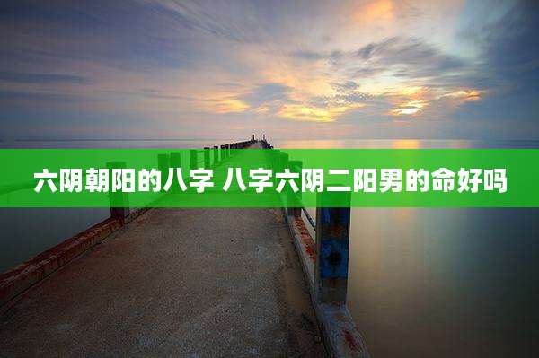 六阴朝阳的八字 八字六阴二阳男的命好吗
