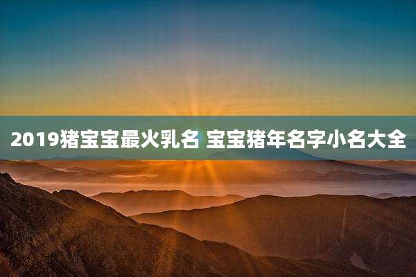 2019猪宝宝最火乳名 宝宝猪年名字小名大全