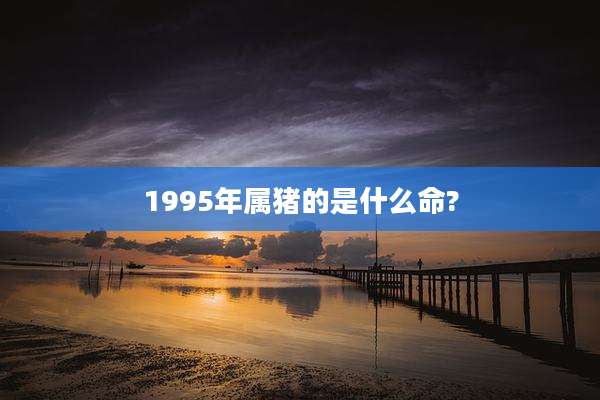 1995年属猪的是什么命?