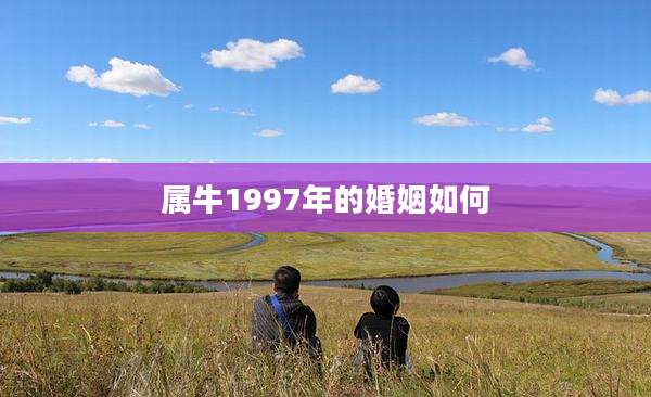 属牛1997年的婚姻如何