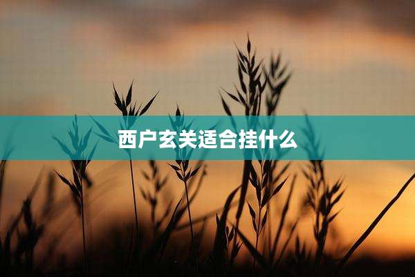 西户玄关适合挂什么