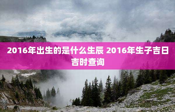2016年出生的是什么生辰 2016年生子吉日吉时查询