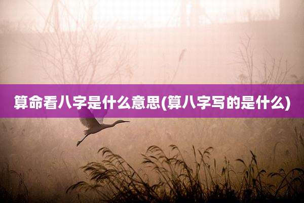 算命看八字是什么意思(算八字写的是什么)