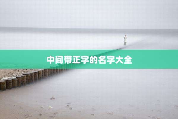 中间带正字的名字大全