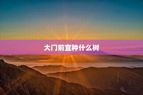 大门前宜种什么树