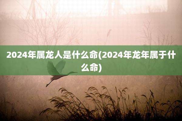 2024年属龙人是什么命(2024年龙年属于什么命)