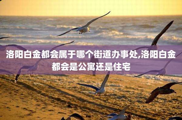 洛阳白金都会属于哪个街道办事处,洛阳白金都会是公寓还是住宅
