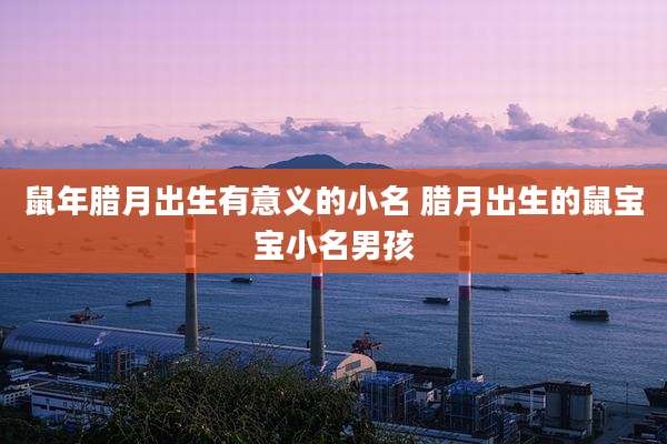 鼠年腊月出生有意义的小名 腊月出生的鼠宝宝小名男孩