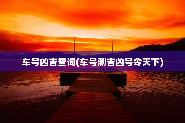车号凶吉查询(车号测吉凶号令天下)