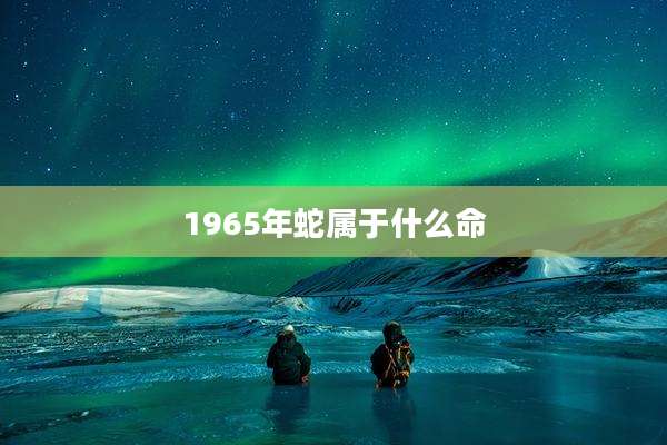 1965年蛇属于什么命