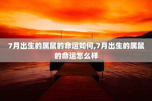 7月出生的属鼠的命运如何,7月出生的属鼠的命运怎么样