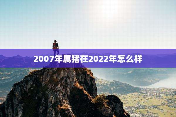 2007年属猪在2022年怎么样