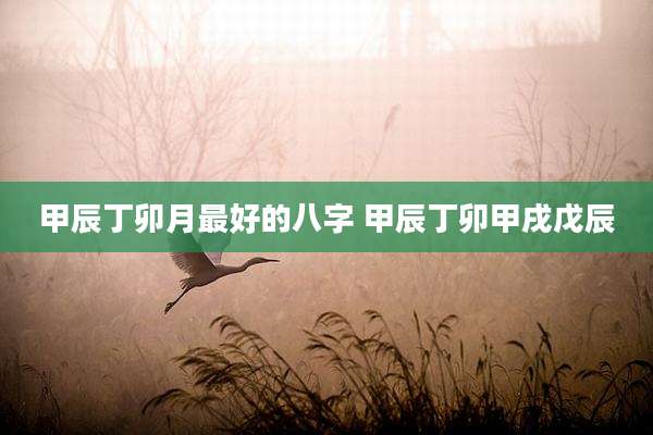 甲辰丁卯月最好的八字 甲辰丁卯甲戌戊辰