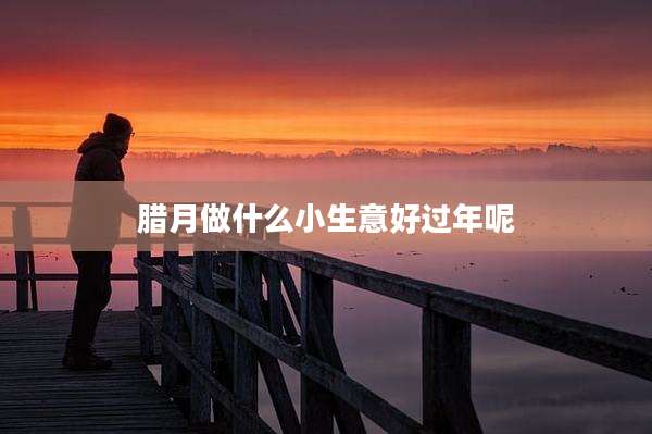 腊月做什么小生意好过年呢