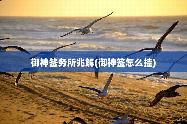 御神签务所兆解(御神签怎么挂)