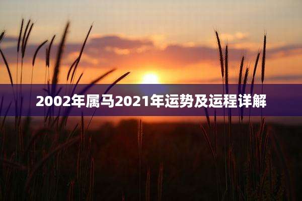 2002年属马2021年运势及运程详解