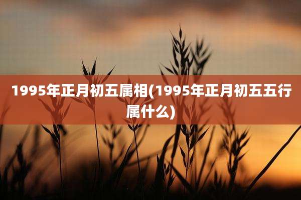 1995年正月初五属相(1995年正月初五五行属什么)