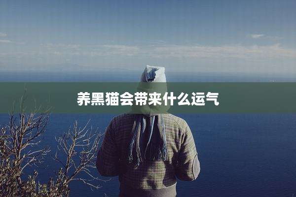 养黑猫会带来什么运气