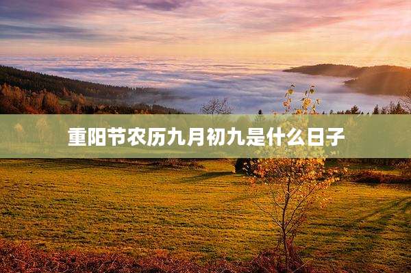 重阳节农历九月初九是什么日子