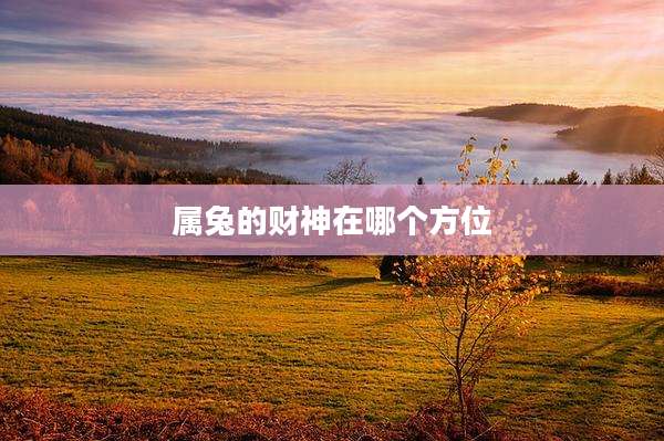 属兔的财神在哪个方位