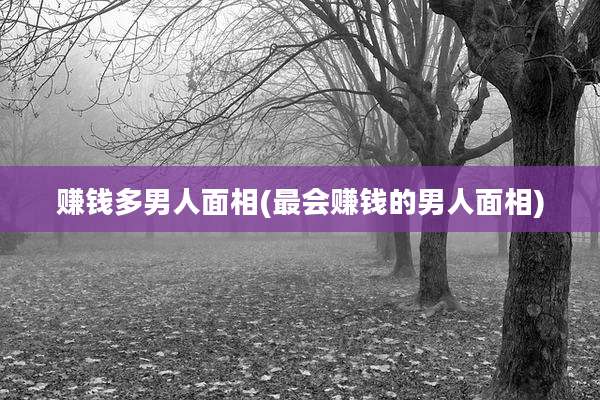 赚钱多男人面相(最会赚钱的男人面相)