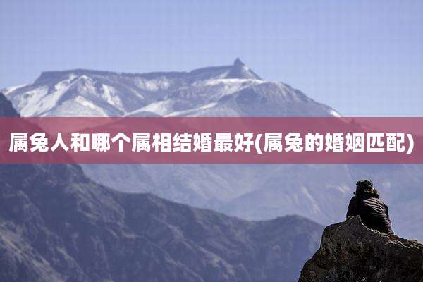 属兔人和哪个属相结婚最好(属兔的婚姻匹配)