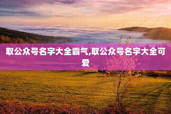 取公众号名字大全霸气,取公众号名字大全可爱