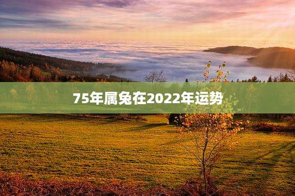 75年属兔在2022年运势