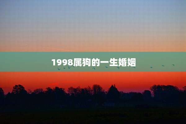 1998属狗的一生婚姻