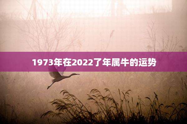 1973年在2022了年属牛的运势