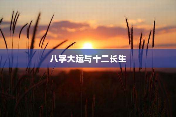 八字大运与十二长生