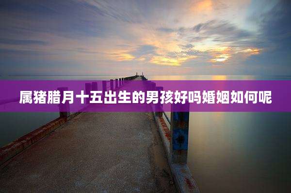 属猪腊月十五出生的男孩好吗婚姻如何呢
