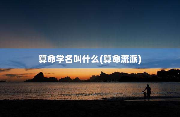 算命学名叫什么(算命流派)