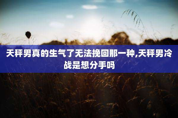 天秤男真的生气了无法挽回那一种,天秤男冷战是想分手吗