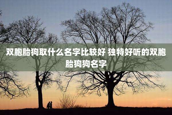 双胞胎狗取什么名字比较好 独特好听的双胞胎狗狗名字