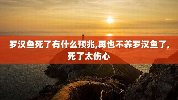 罗汉鱼死了有什么预兆,再也不养罗汉鱼了,死了太伤心