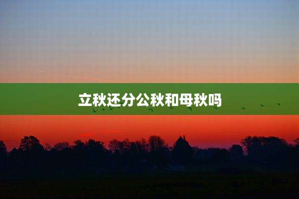 立秋还分公秋和母秋吗