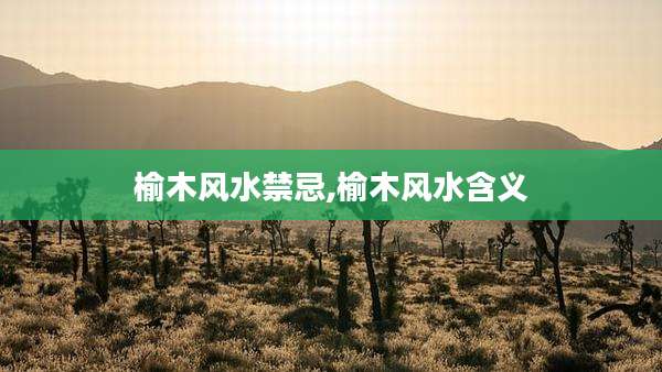 榆木风水禁忌,榆木风水含义