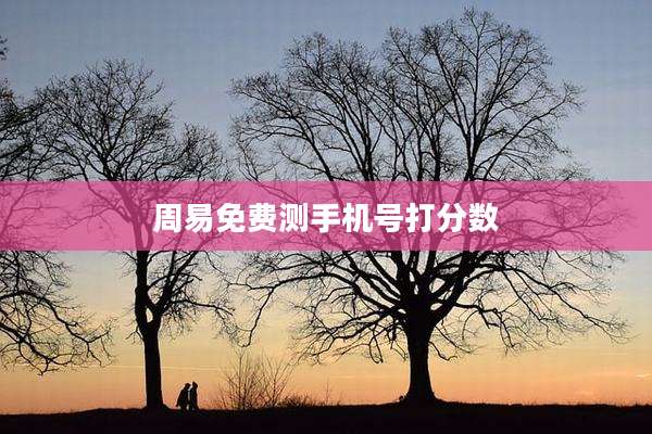 周易免费测手机号打分数